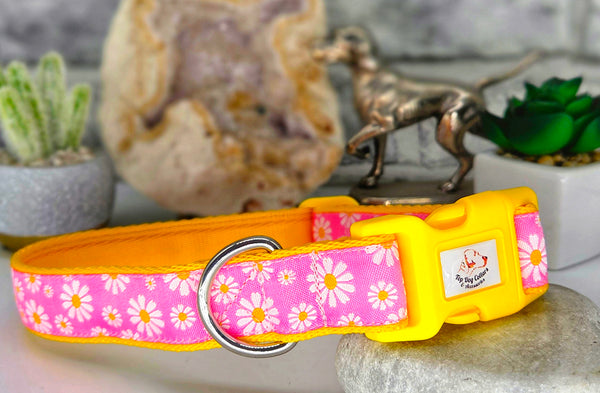Pink Daisy woven ribbon Collars & Leads