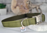 Olive Green Plain Webbing Collars & Leads