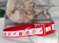 Sweet Treats Collars and Leads