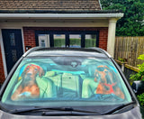 Sunglasses Vizsla Car Windscreen Sunshade