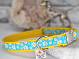 Blue Daisy woven ribbon Collars & Leads