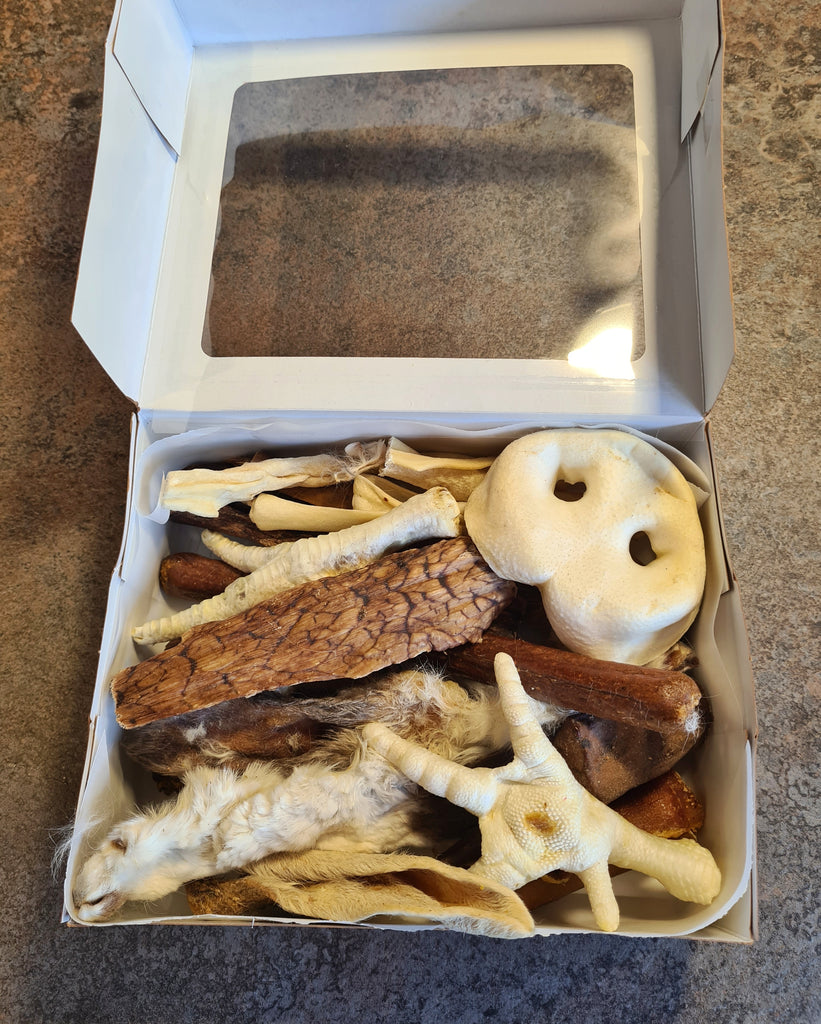 BRIBERY BOX'S (Treat Selection Boxes) Top Dog Collars & Accessories