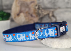 Elephants Collars & Leads