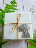 Marble Coaster Wirehaired Vizsla Art