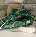 Peacock Feathers Collars & Leads