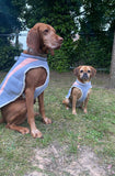 Dog Cooling Coat Harness