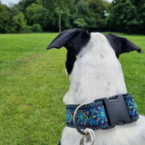 Regal Blue 2" Wide Collars