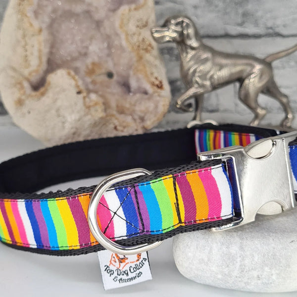 Rainbow Stripe Dog Collars & Leads