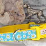 Blue Daisy woven ribbon Collars & Leads