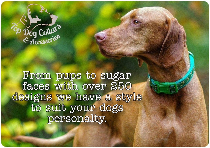 TOP DOG COLLARS & ACCESSORIES Top Dog Collars & Accessories