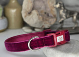 Plum velvet Collars & Leads