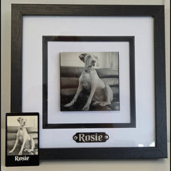 Custom Portrait Pictures