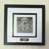 Custom Portrait Pictures