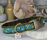 Peacock Feathers Collars & Leads