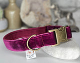 Plum velvet Collars & Leads