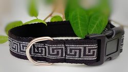 Greek Key Dog Collars & Leads