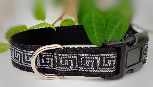 Greek key 2024 dog collar