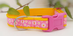 Pink Daisy woven ribbon Collars & Leads