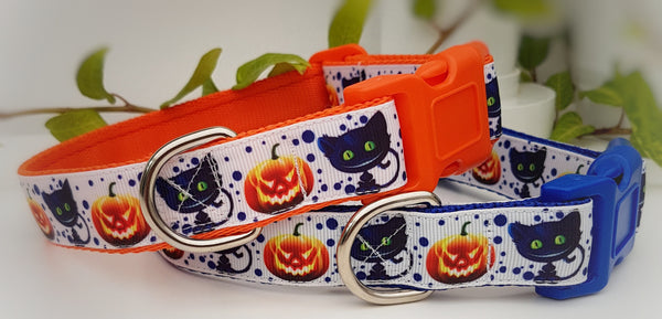 Orange and sales blue dog collar