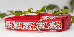 Poinsettia Collars & Leads