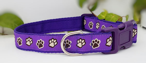 Purple Paw Prints Collars & Leads