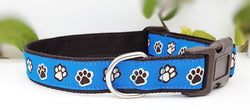 Blue Paw prints Collars & Leads