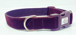 Brown Velvet Dog Collars & Leads