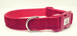 Red Velvet Dog Collars & Leads