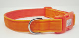 Orange velvet Collars & Leads