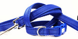 Royal Blue Plain Webbing Collars & Leads