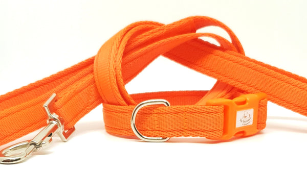 Orange Plain Webbing Collars & Leads