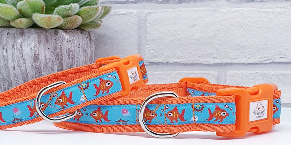 Fish Friends Dog Collars & Leads