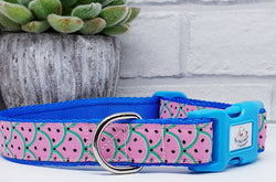 Watermelon Dog Collars & Leads