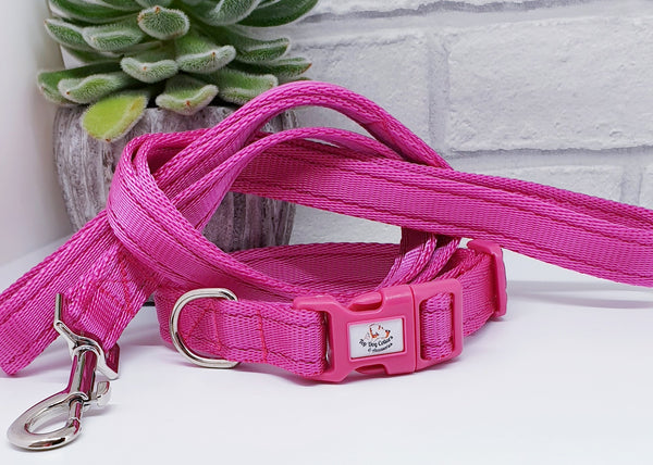 Hot Pink Plain Webbing Collars & Leads