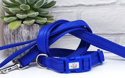 Royal Blue Plain Webbing Collars & Leads