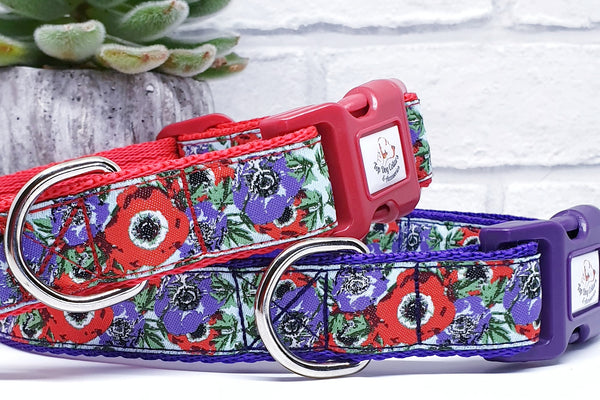 Woven ribbon Purple & Red Poppy Collars & Leads