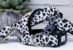 Dalmatian spots collars & Leads