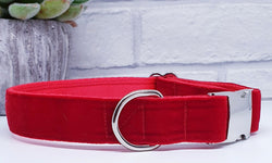 Red Velvet Dog Collars & Leads