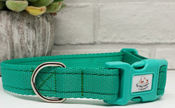 Emerald Green Plain Webbing Collars & Leads