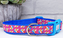 Kaleidoscope Pink Dog Collars & Leads