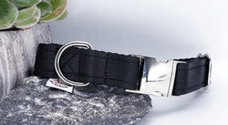 Black Plain Webbing Collars & Leads