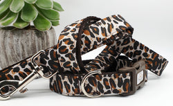 Brown Leopard Print Dog Collars & Leads