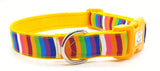 Rainbow Stripe Dog Collars & Leads