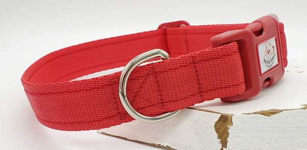 Red Plain Webbing Collars & Leads