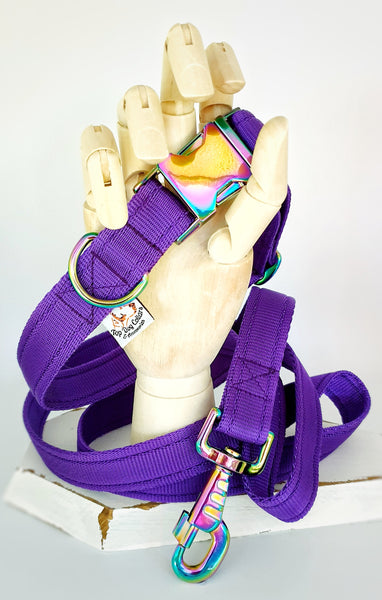 Purple Plain Webbing Collars & Leads