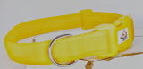 Yellow Plain Webbing Collars & Leads