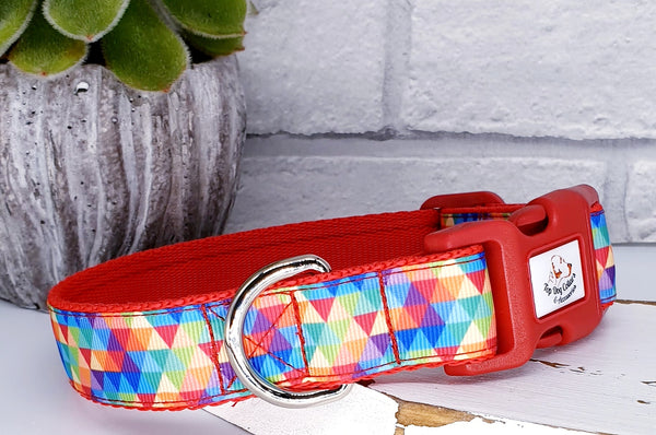 Kaleidoscope rainbow printed ribbon Collars & Leads