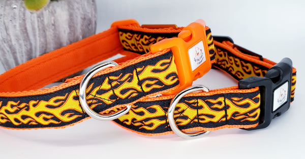 Hot Rod Flames Collars & Leads