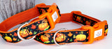 Pumpkins Collars & Leads