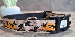 Hunter Dog Collars & Leads